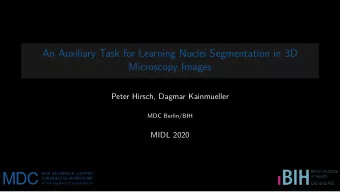 An Auxiliary Task for Learning Nuclei Segmentation in 3D  Microscopy Images  Peter Hirsch, Dagmar