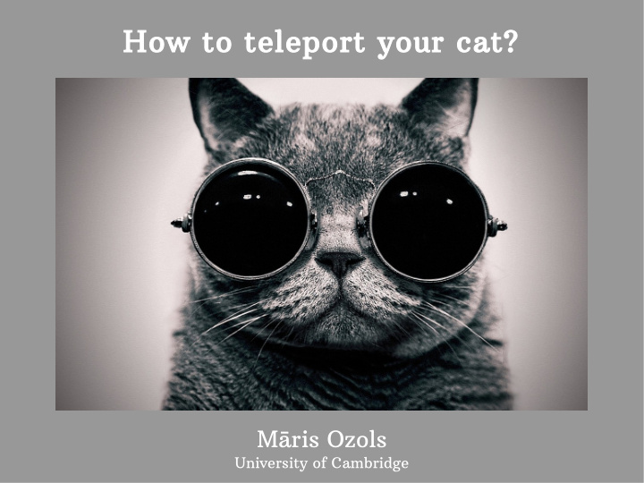 how to teleport your cat