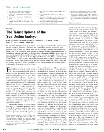 E  mbryogenesis in the sea urchin occurs  The genes identified are not limited a priori by  After