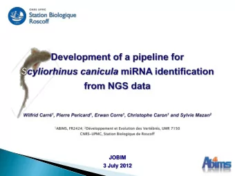 JOBIM  3 July 2012  Chondrichthyans  Teleostomi Scyliorhinus canicula (dog fish) Genome sequencing