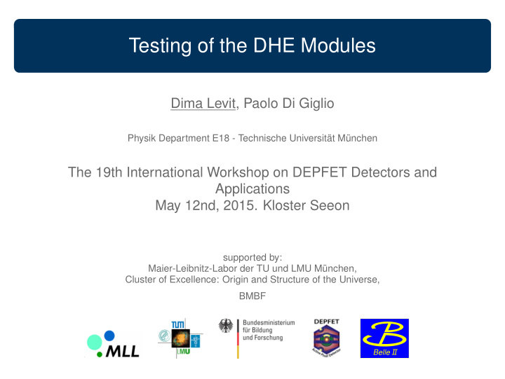 testing of the dhe modules
