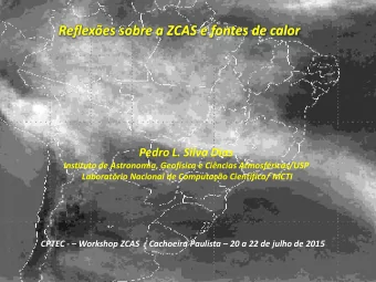 Reflexes sobre a ZCAS e fontes de calor  Pedro L. Silva Dias  Instituto de Astronomia, Geofsica