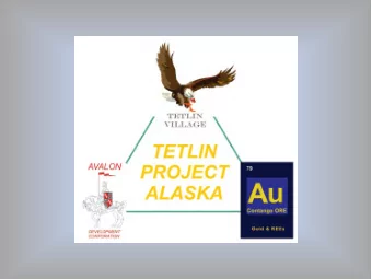 Geology and Mineralization of the  Chief Danny Prospect  Contango Ore Inc. Tetlin Project Tok, AK