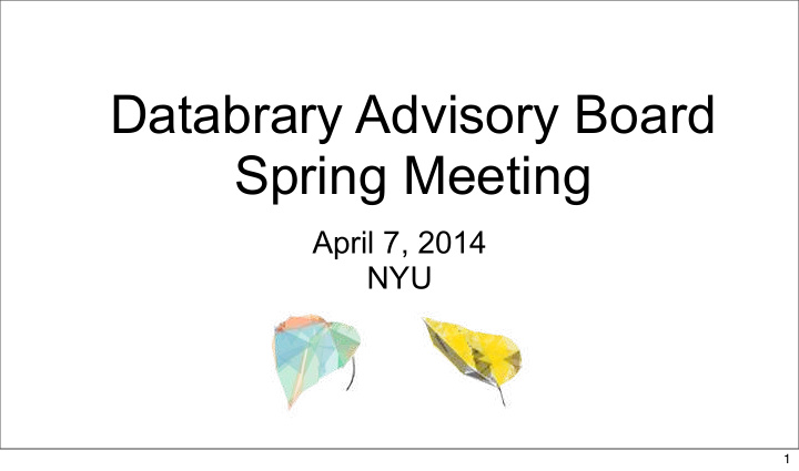 databrary advisory board spring meeting