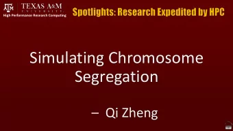 Simulating Chromosome  Segregation  Qi Zheng  Simulating Chromosome Segregation  Qi Zheng