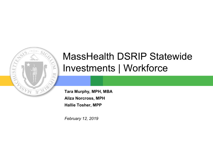 masshealth dsrip statewide investments workforce