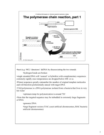 heat (e.g. 94C) denatures dsDNA by disassociating the two strands  hydrogen bonds are