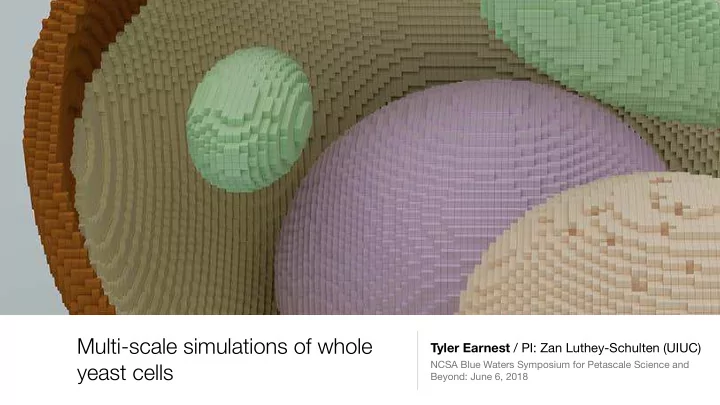 multi scale simulations of whole