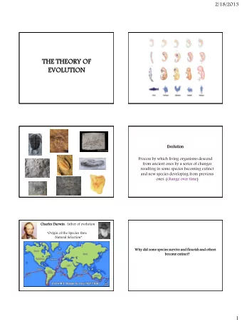 THE THEORY  ORY OF  EVOLUTION UTION  Evoluti  tion  on  Process by which living organisms descend