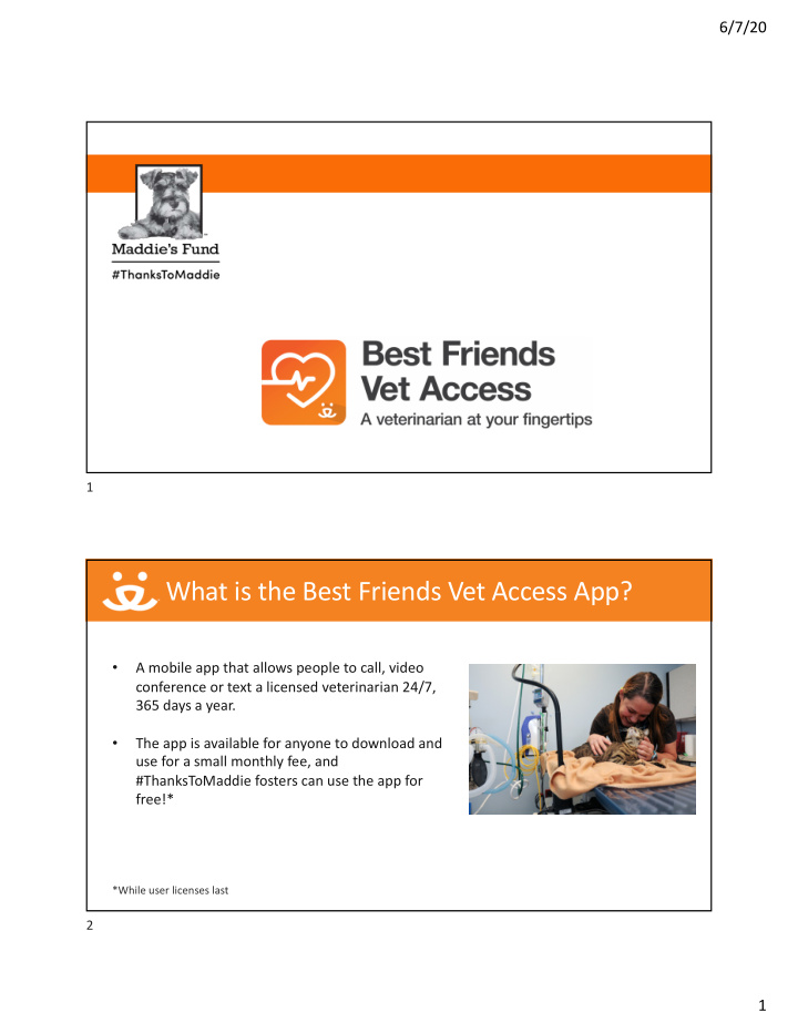 what is the best friends vet access app