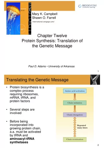 Chapter Twelve  Protein Synthesis: Translation of  the Genetic Message  Paul D. Adams
