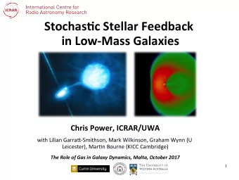 Stochas(c Stellar Feedback  in Low-Mass Galaxies  Chris Power, ICRAR/UWA  with Lilian