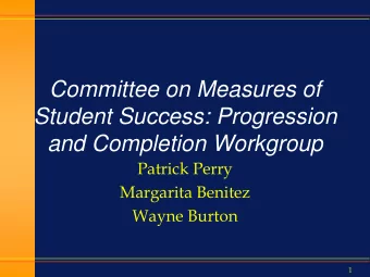 Student Success: Progression  and Completion Workgroup  Patrick Perry  Margarita Benitez  Wayne
