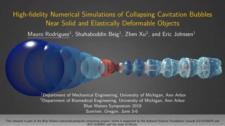 high fidelity numerical simulations of collapsing