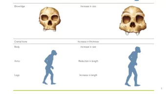 1 Homo erectus : more human-like hominin  1.8 mya-150 kya  2 Homo erectus morphology  Cranial