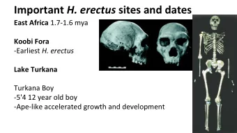 Important H. erectus sites and dates East Africa 1.7-1.6 mya  Koobi Fora -Earliest H. erectus  Lake