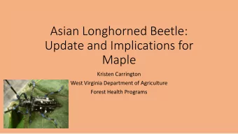 Asian Longhorned Beetle:  Update and Implications for  Maple  Kristen Carrington  West Virginia