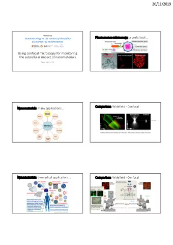 26/11/2019  Workshop  Fluorescence microscopy: a useful tool  Nanotoxicology in the context of