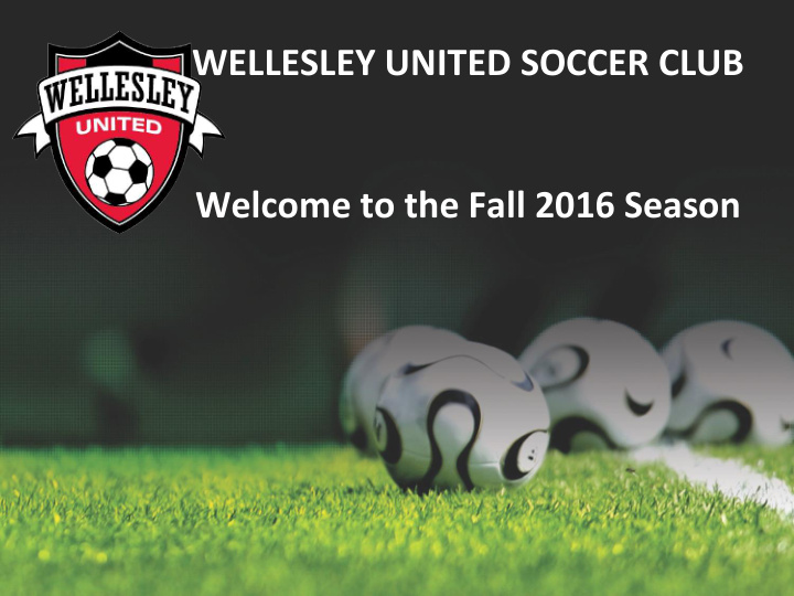 wellesley united soccer club welcome to the fall 2016