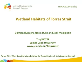 Wetland Habitats of Torres Strait  Damien Burrows, Norm Duke and Jock Mackenzie  TropWATER  James
