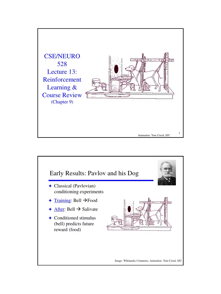 cse neuro 528 lecture 13 reinforcement learning course