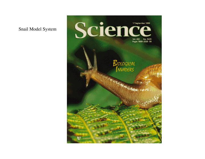 snail model system intro to snails as a model system in