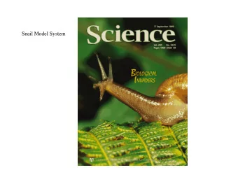 Snail Model System  Intro to snails as a  model system in neurobiology  Our lab snail