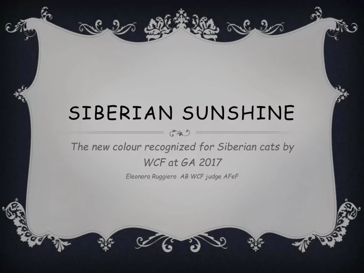 siberian sunshine