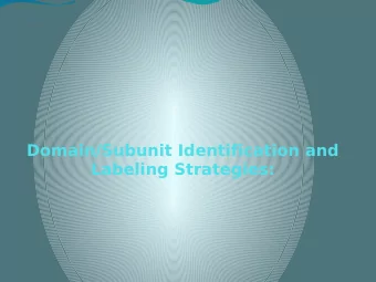 Domain/Subunit Identification and  Labeling Strategies:  Answers to the six thought-provoking