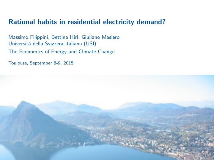 rational habits in residential electricity demand