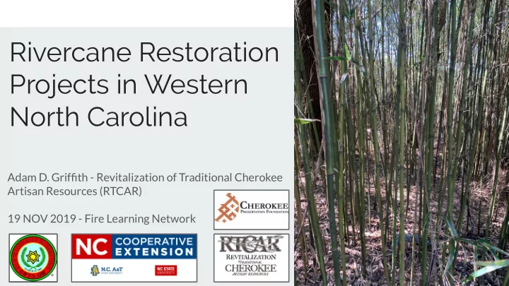 rivercane restoration projects in western north carolina