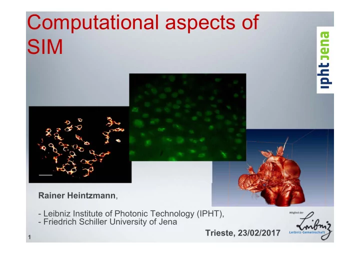 computational aspects of sim