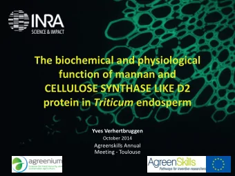 The biochemical and physiological  function of mannan and  CELLULOSE SYNTHASE LIKE D2 protein in