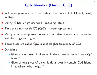 CpG Islands - (Durbin Ch.3)  In human genomes the C nucleotide of a dinucleotide CG is typically