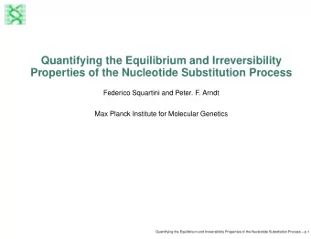 Quantifying the Equilibrium and Irreversibility  Properties of the Nucleotide Substitution Process