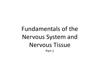 Fundamentals of the Nervous System and Nervous Tissue Part 1 Nervous System &amp; Tissue  I.