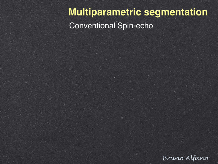 multiparametric segmentation