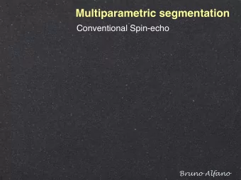 Multiparametric segmentation  Conventional Spin-echo  Bruno Alfano  The Method  T1-w  T2-w  PD-w