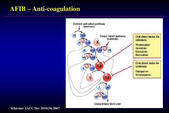 afib anti coagulation