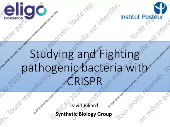 Studying and Fighting  pathogenic bacteria with  CRISPR  David Bikard  Synthetic Biology Group
