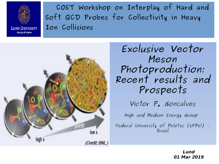 exclusive vector meson photoproduction recent results and