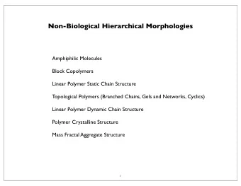 Non-Biological Hierarchical Morphologies  Amphiphilic Molecules  Block Copolymers  Linear Polymer