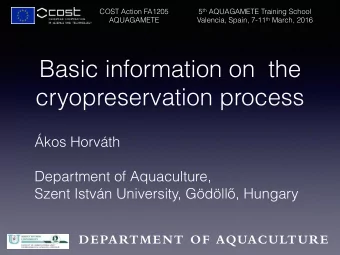 Basic information on  the  cryopreservation process  kos Horvth  Department of Aquaculture,