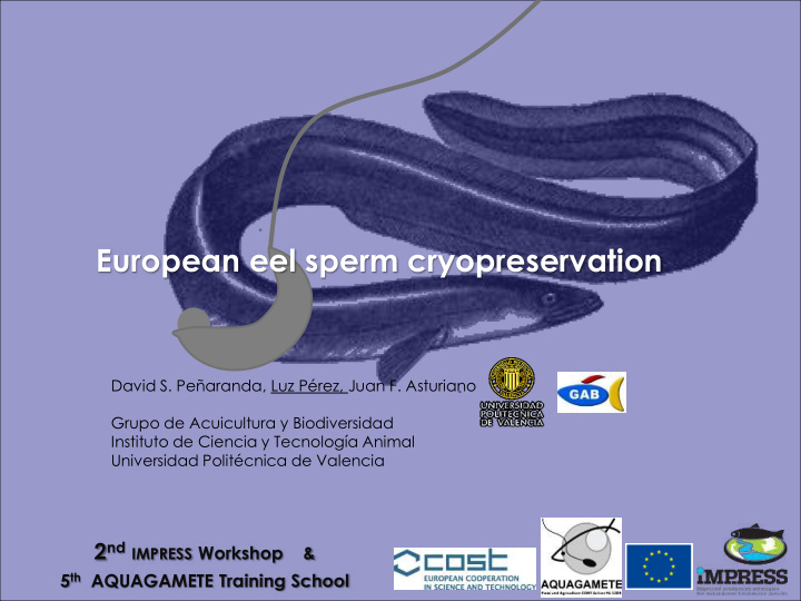 european eel sperm cryopreservation
