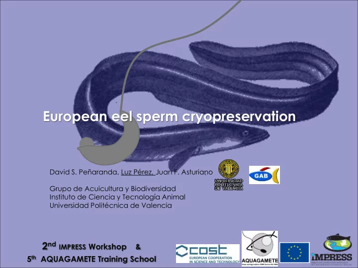 european eel sperm cryopreservation