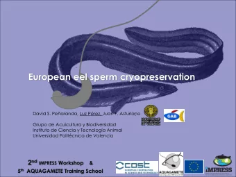 European eel sperm cryopreservation  David S. Pearanda, Luz Prez, Juan F. Asturiano  Grupo de