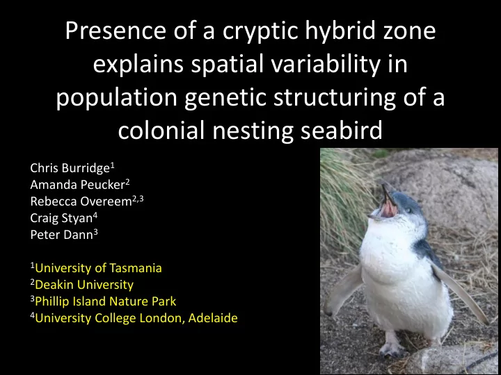 presence of a cryptic hybrid zone