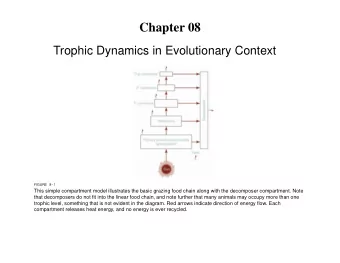 Chapter 08  Trophic Dynamics in Evolutionary Context  FIGURE 8-1  This simple compartment model