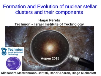 Formation and Evolution of nuclear stellar  clusters and their components  Hagai Perets  Technion