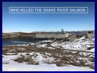 WHO KILLED THE SNAKE RIVER SALMON  June 1  CELILO FALLS COMMERCIAL HARVEST  1860s  to 1970s